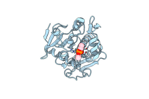 4TGL image