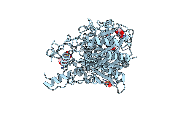 4TKT image