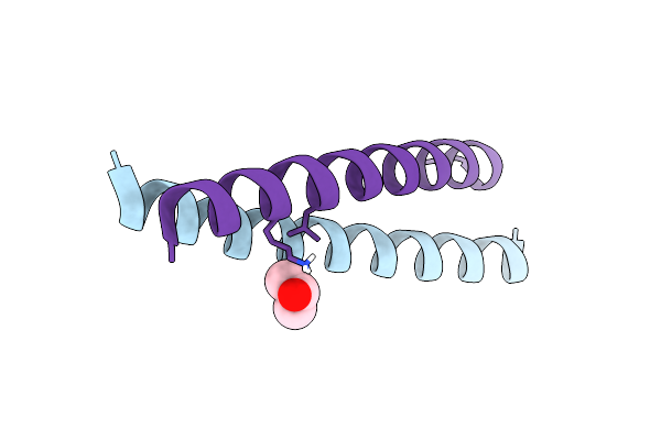4TL1 image