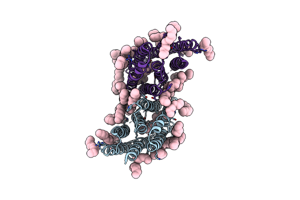 4TL3 image