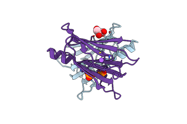 4TLS image