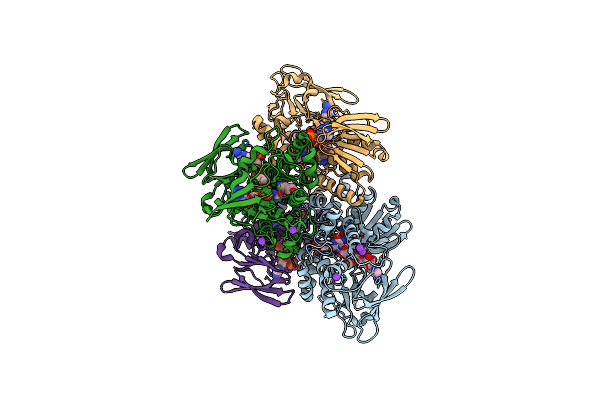 4TLX image