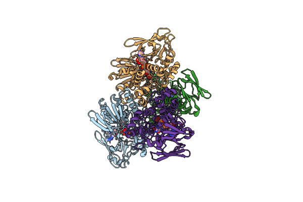 4TM3 image