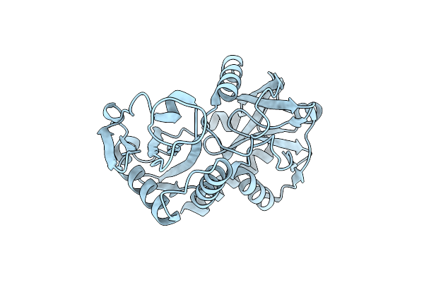 4TM5 image