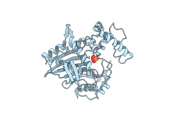 4TMS image