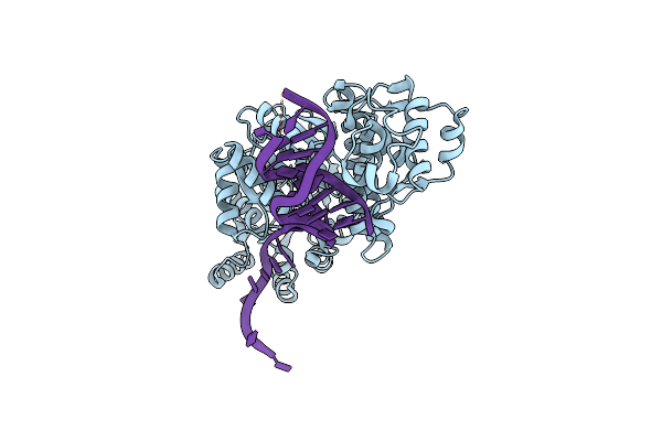 4TMU image