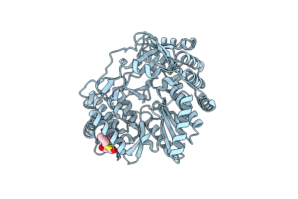 4TN2 image
