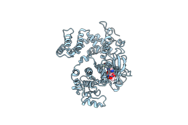 4TNB image