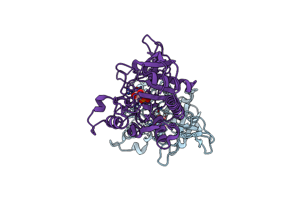 4TNU image