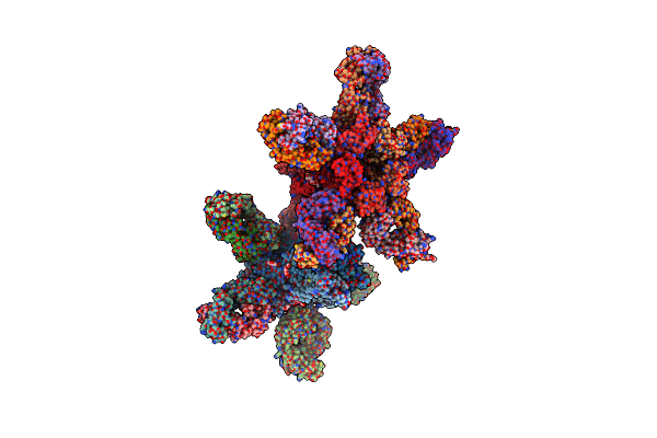 4TNV image