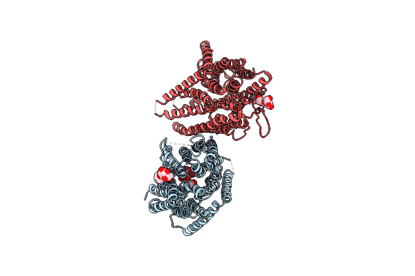 4TPG image