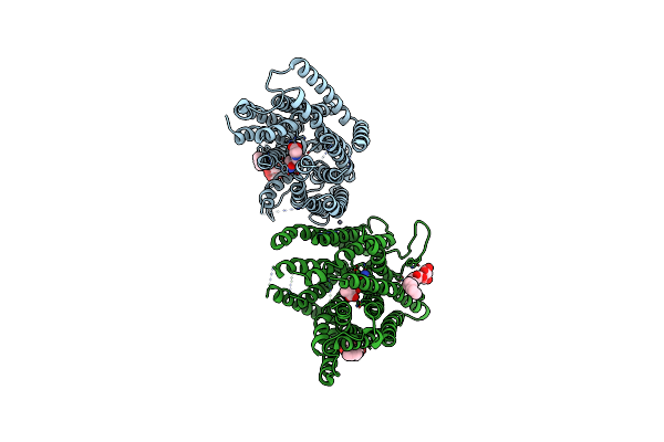 4TPJ image