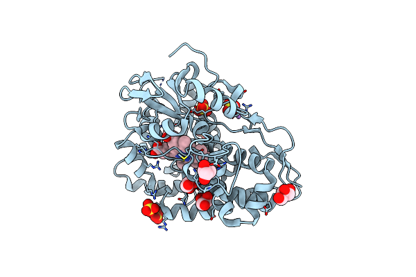 4TPN image