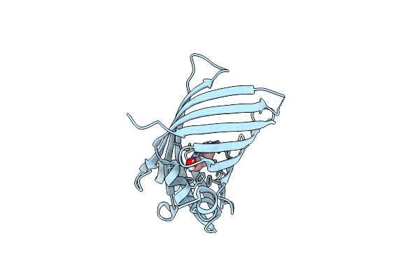 4TQ2 image