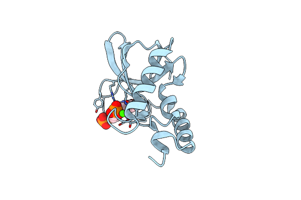 4TRD image
