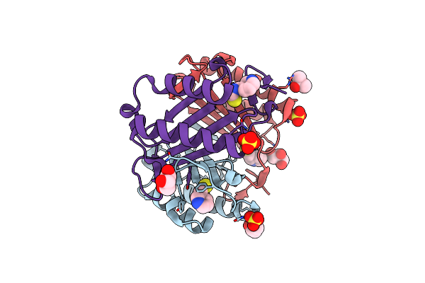 4TRF image