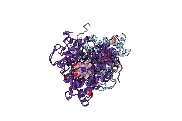4TRI image