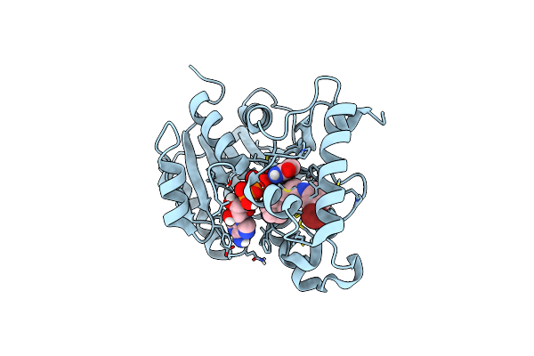 4TRJ image
