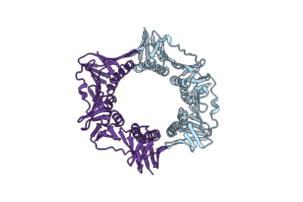 4TRT image