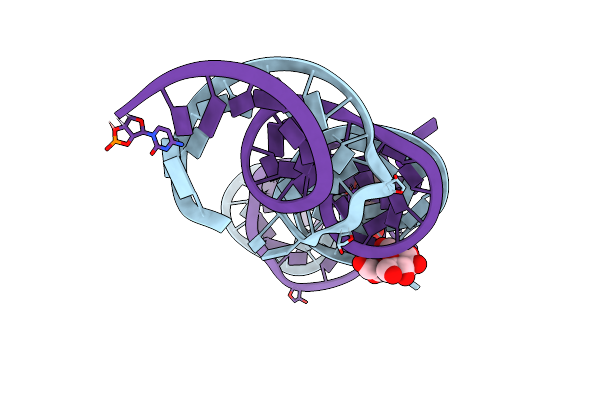 4TS2 image