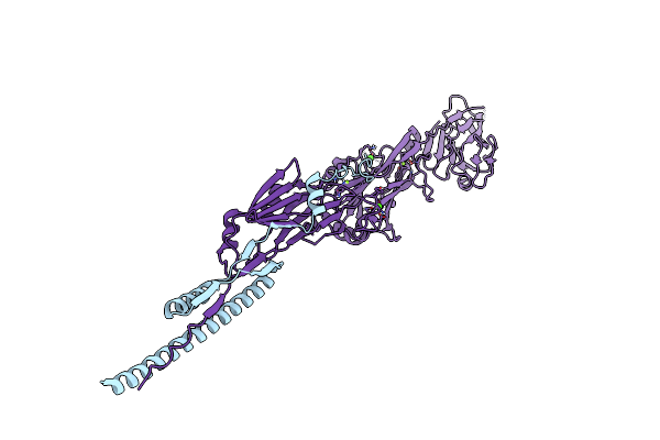 4TSH image