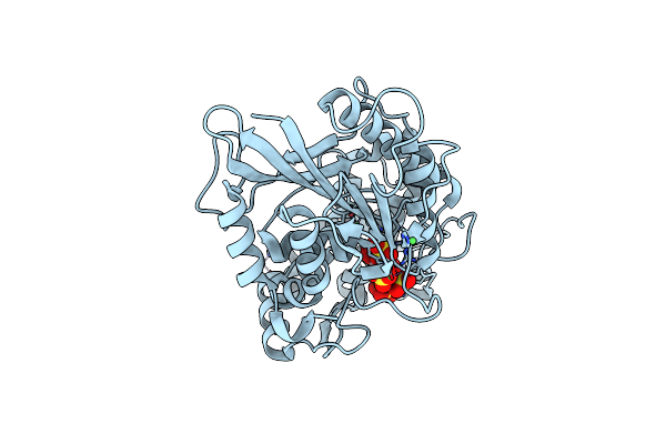 4TSR image