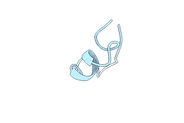 4TTL image