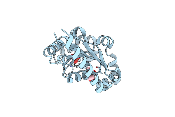 4TTR image