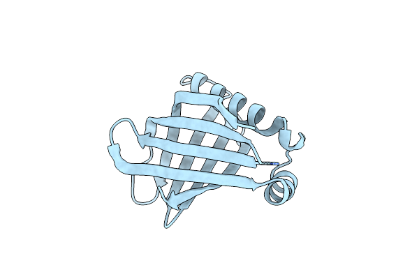 4TTW image