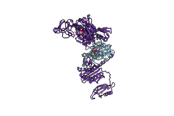 4TVA image