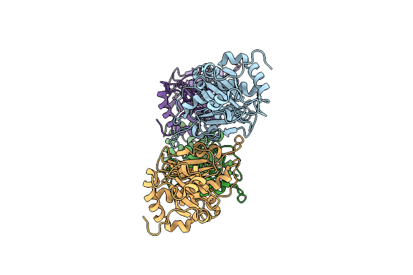 4TW5 image