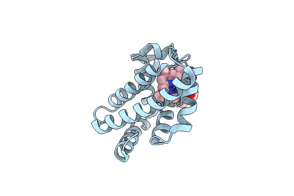 4TWV image