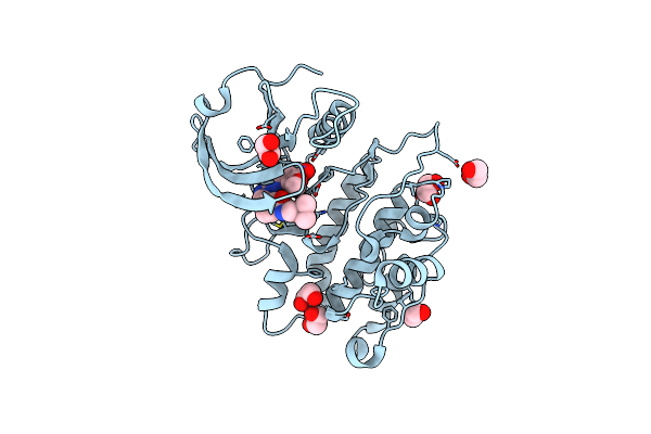4TXC image
