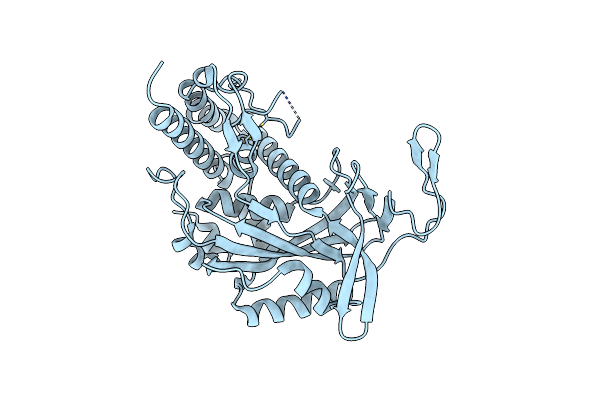 4TXD image