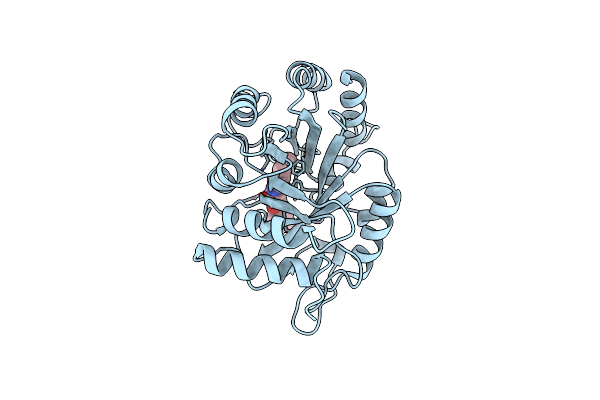 4TXE image