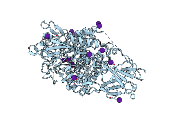 4TXG image