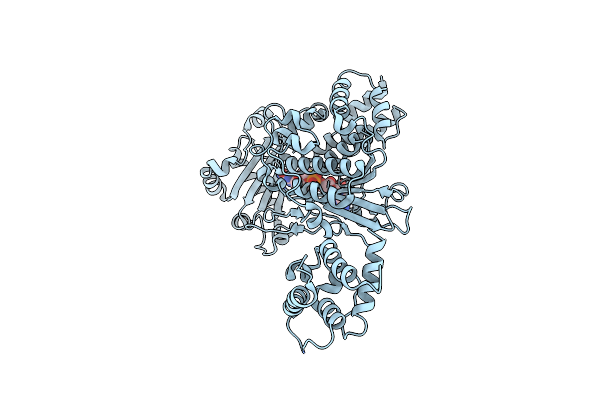 4TXI image