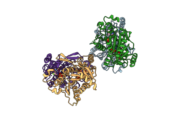 4TXN image