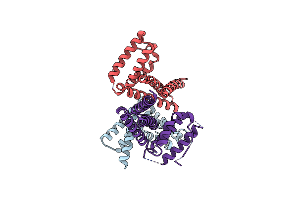 4TXP image
