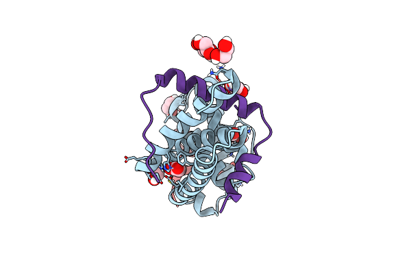 4TXR image