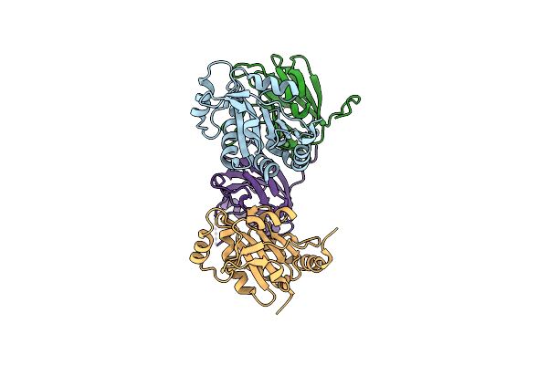 4TXV image