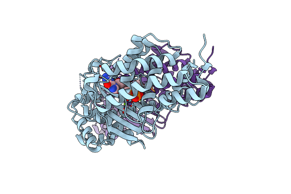 4TXZ image