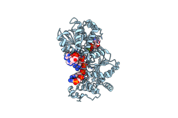 4TYN image