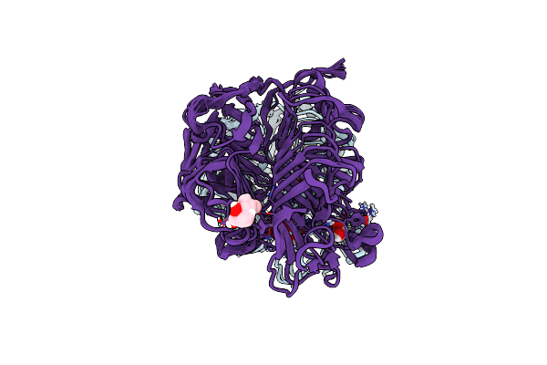 4TYV image