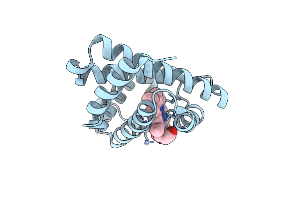 4TYX image