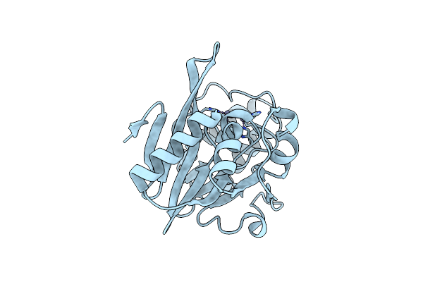 4TZF image