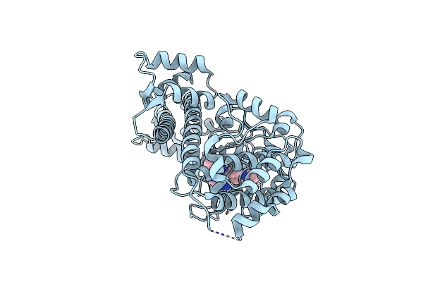 4TZR image