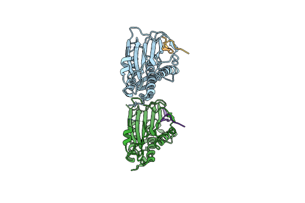 4TZS image