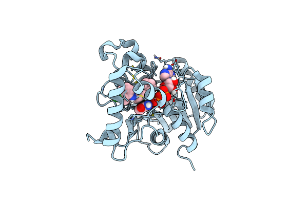 4TZT image
