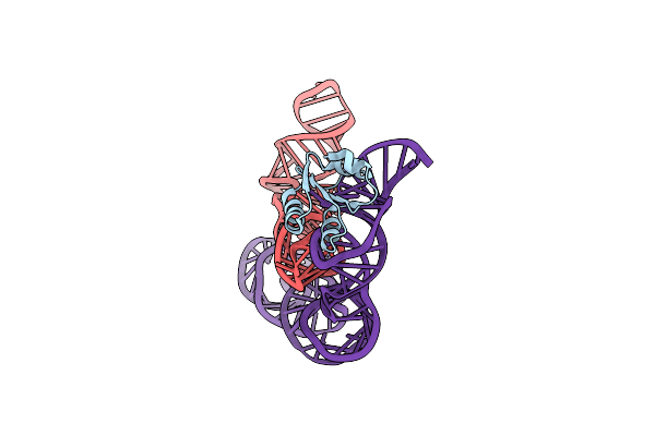 4TZV image